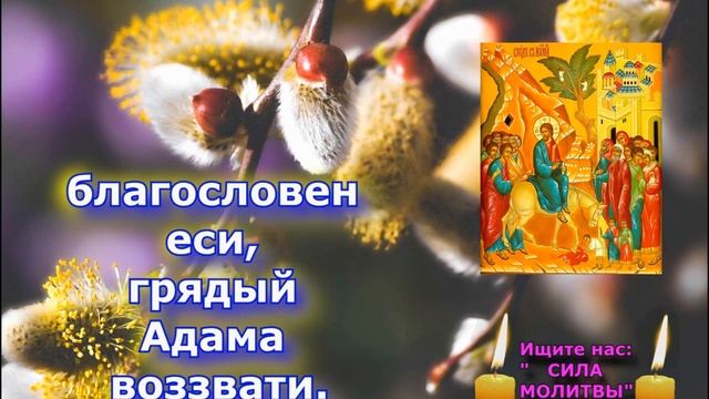 Только эти 3 дня обязательно произноси Кондак  вербного воскресения - Входу Господню в Иерусалим