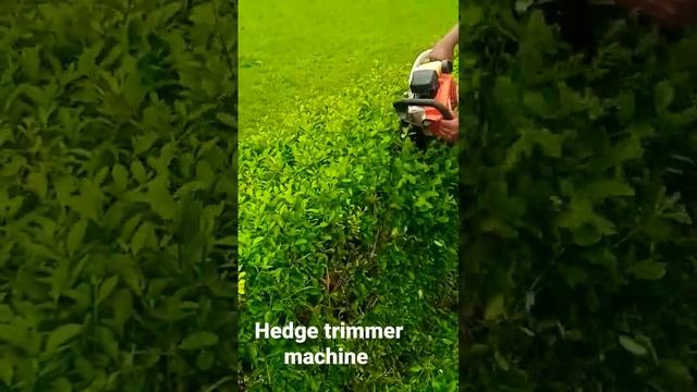 Hedge trimmer machine with new technology ????