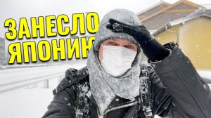 Бывает ли зима в Японии? Ожидания и Реальность