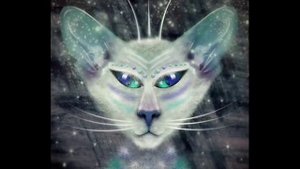 Кошки не похожи на людей!