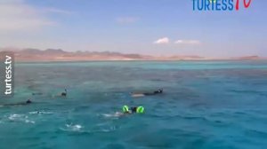 Экскурсия Пиратская яхта Египет, Шарм эль Шейх