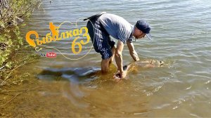 Поймали крокодил на спиннинг, Рекордный трофей сезона