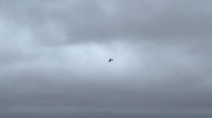 первый полет Ил 2