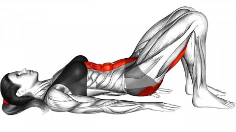 Ежедневная Растяжка: внимание к Гибкости