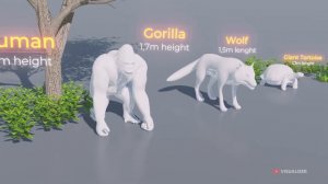 INCREDIBLE ANIMAL SIZE COMPARISON | 3D REAL SCALE