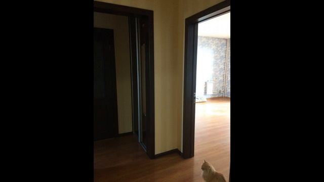 Продам 2-комн улучшенной серии смотреть онлайн