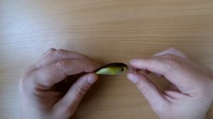 ВОБЛЕР УЛЬТРАЛАЙТ | Ever Green Combat Crank Mini | Рыбалка на спиннинг