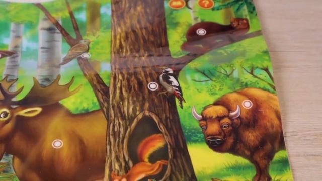 Говорящий электронный плакат "Лесные животные", работает от батареек смотреть онлайн