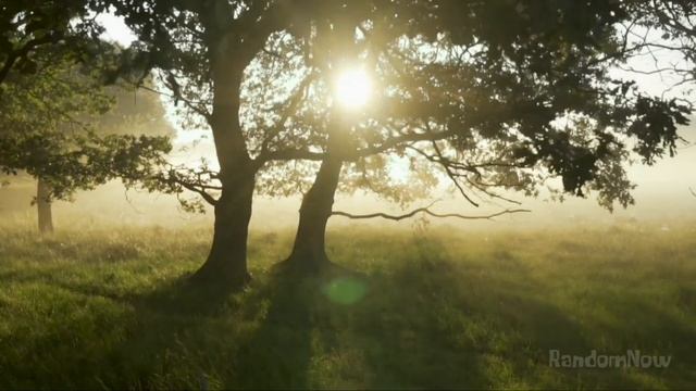 Relax Take A Break 15mins Relaxing Music/Nature  Beautiful Sunset "Turn ON Loop" #Relaxingvideo