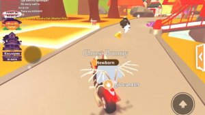 Абнова в адопт ми 🌸🌺#адоптми #роблокс #подпишись  Хеллоуин