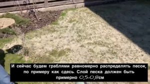 Восстановление газона, как сделать аэрацию газона, пескование у домашних условиях?