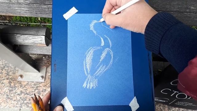 КАК НАРИСОВАТЬ ПЕЛИКАНА? Пошаговая инструкция. КАК делать НАБРОСКИ? смотреть онлайн