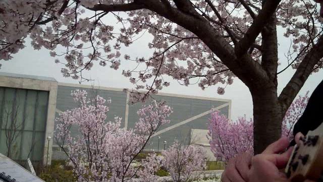 Love Me Tender（花レレ2014） смотреть онлайн