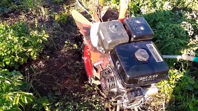 #Подкучивание и #прополка #картофеля #мотоблоком #САЛЮТ с двигателем #Лифан. смотреть онлайн