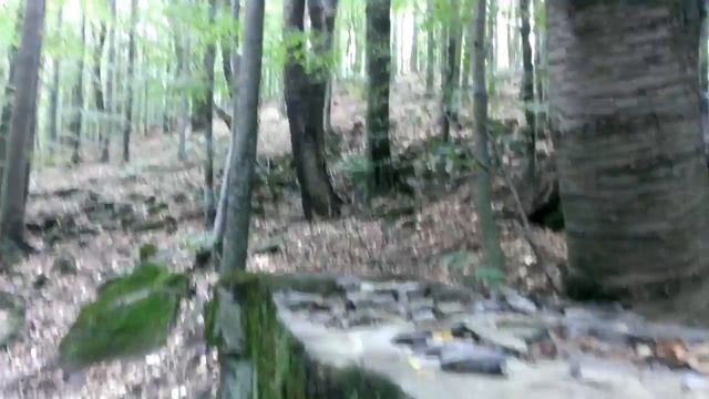 Коп в Карпатах Minelab Sovereign Metal detecting in Carpathians смотреть онлайн