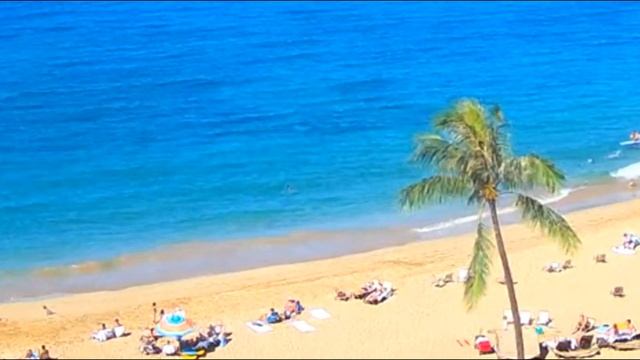 Звуки моря. 1 час Видео - Тропический пляж с голубым небом, белым песком и пальмой. смотреть онлайн
