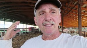 Семейная молочная ферма - какая она должна быть?