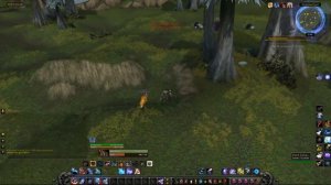 Friend or Fowl? (Друг или индюк?)