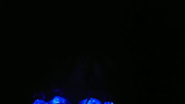 Танец "медуз" в темноте смотреть онлайн