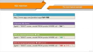 8  SQLMap Leveraging an SQL Injection Exploit