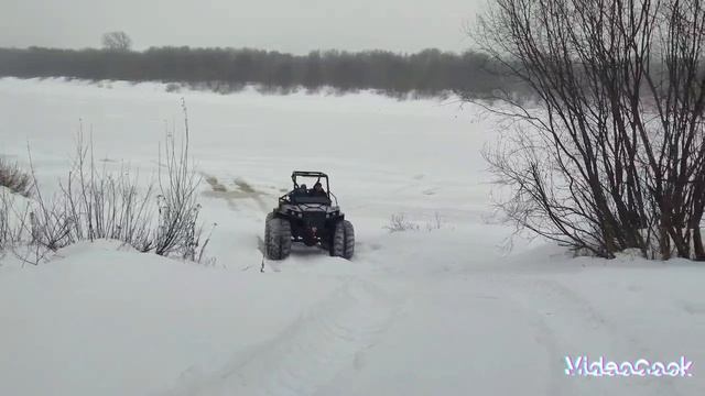 Прайд