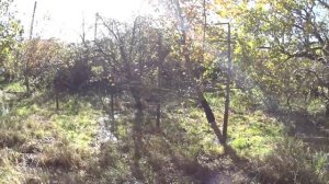 Дом в Грузии. Западная Грузия. г. Самтредия. Обзор продажи.