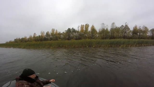 Поймал 14 щук подряд. Бешанные клев, ловля щуки осень . Смотреть до конца смотреть онлайн