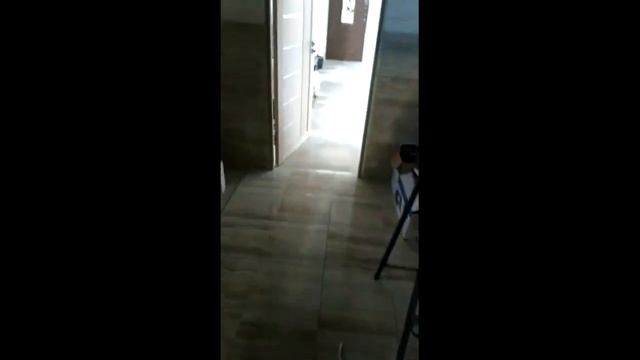 Отзыв Котел 30 кВт Симферополь EcoBoil 30 отзыв Refat1