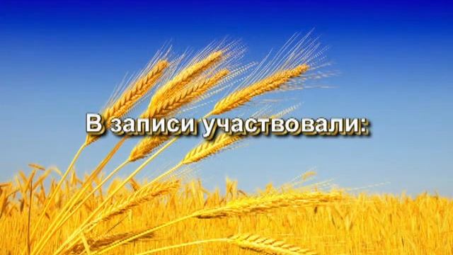 М.Блантер "ПШЕНИЦА ЗОЛОТАЯ" Обр.В.Городовской. Квартет "Московская балалайка" смотреть онлайн