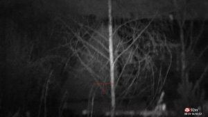 Обзор,пристрелка прицела ATN X-Sight 4K Pro 5-20X