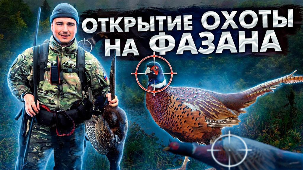 Открытие охоты на Фазана