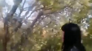 В Красноярске пьяная автоледи устроила ДТП на встречке