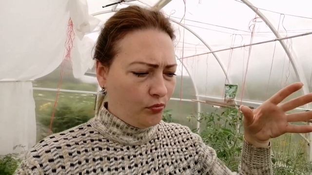 ФОРМИРОВАНИЕ ТОМАТОВ - УВЕЛИЧИВАЕМ УРОЖАЙ!!! ОБЗОР ПЕРЦЕВ В ТЕПЛИЦЕ смотреть онлайн