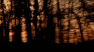 Flëur - Будь моим смыслом 1 час / 1 hour 🌾🌅