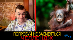 СМОТРИМ - ПОПРОБУЙ НЕ ЗАСМЕЯТЬСЯ ЧЕЛЛЕНДЖ #4 БОЛЬШОЙ ВЫПУСК!!