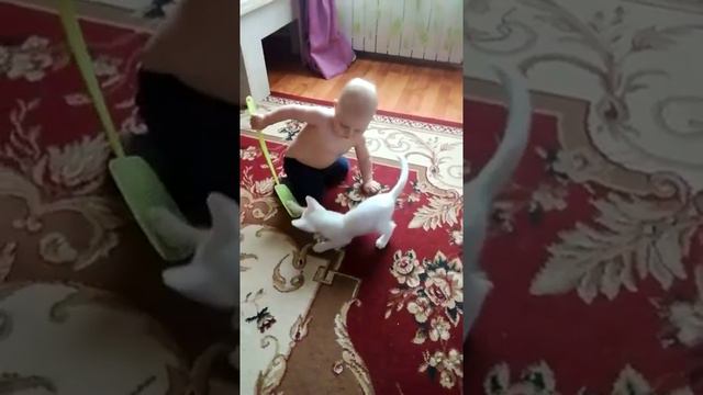 Мой мл.сын Гасан и котенок Пончик