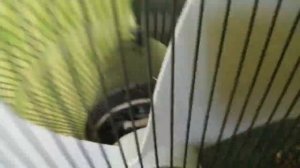 Ремонт вентилятора быстро своими руками. ремонт пропеллера!