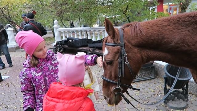 Влог: Семейная прогулка/ Первое манго / Болеем | ПолинаБонд смотреть онлайн