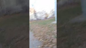 нашли трюковой самокат