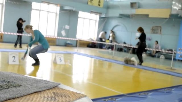 Кобели, класс Победителей смотреть онлайн