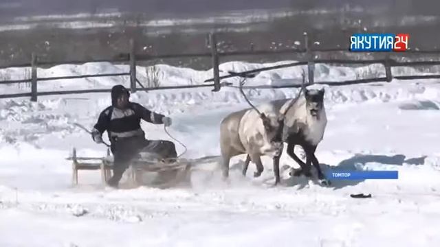 Өймөкөөҥҥө таба сүүрдүүтүн кыайыылааҕар «Буран» туттардылар смотреть онлайн