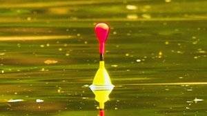 НЕ ЗРЯ ПРОБИРАЛИСЬ В ЭТО ДИКОЕ МЕСТО! Рыбалка на поплавок на маховую удочку.  Уха на костре.