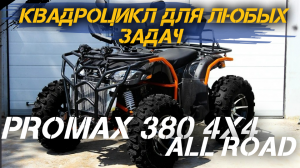 ОБЗОР квадроцикла PROMAX 380 4X4 ALL ROAD  от сети мотоцентров X-MOTORS