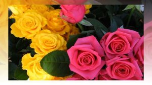 Лена! С днем рождения!