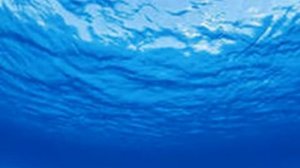 Физминутка для глаз Морская