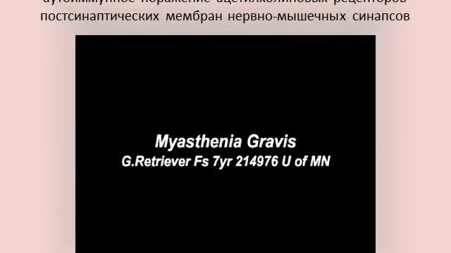 общая характеристика нервной системы