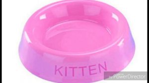 Что нужно иметь для появления в доме котёнка? Часть 1 | Животный Мир