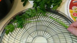 ДЕЛАЮ ЗАГОТОВКИ с сушилкой ВОЛГА-9 Великие реки.