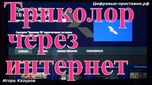 Триколор через интернет