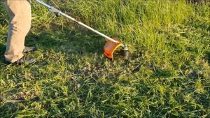 Электрическая коса Daewoo 1700 DABC. Потрясающий результат!